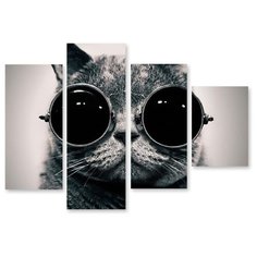 Модульная картина на холсте "Кот" 90x65 см Modulka.Ru