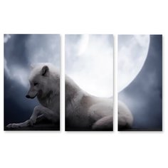 Модульная картина на холсте "Одинокий волк" 170x111 см Modulka.Ru