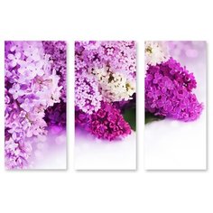 Модульная картина на холсте "Сирень" 90x62 см Modulka.Ru