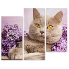 Модульная картина на холсте "Кошечка в сирени" 150x123 см Modulka.Ru