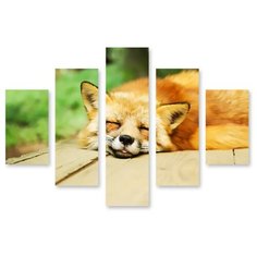 Модульная картина на холсте "Спящая лисичка" 170x125 см Modulka.Ru