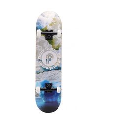 Скейтборд PLANK FROSTY 31х8