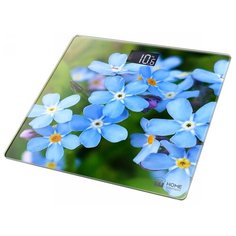 Весы Home Element HE-SC904 напольные сенсор незабудки