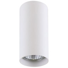 Спот Lightstar Rullo 214486