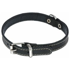 Ошейник Аркон Стандарт (о16/1) 26-34 см черный