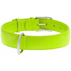 Ошейник COLLAR Glamour без украшений 3322 46-60 см лайм