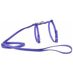Шлейка с поводком COLLAR Glamour для мелких собак (3400), обхват шеи 25-33 см, фиолетовый