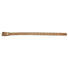 Ошейник Аркон Стандарт (о25ун) 54 см бежевый