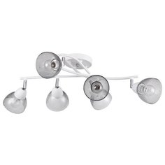 Потолочная люстра F-Promo Rosebud 2350-6U