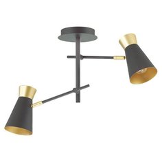 Подвесная люстра Lumion Liam 3790/2C