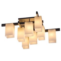 Потолочная люстра ST Luce Caset SL541.102.08