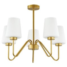 Подвесная люстра Lumion Olivia 3791/5C