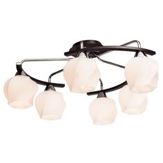 Потолочная люстра Silver Light Aranda 228.59.6