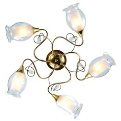 Люстра потолочная MUGHETTO A9289PL-5GO Arte Lamp