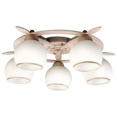 Люстра потолочная Fronteira OML-50517-05 Omnilux