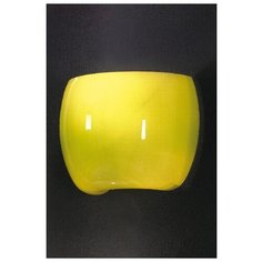 Бра (серия: LSN-0221) LSN-0221-01 Lussole