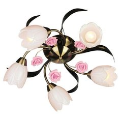 Люстра потолочная Omnilux Champsaur OML-38507-05 5x60Вт E14