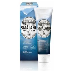 SMALAND Зубная паста NORDIC CLASSIC MINT НОРДИК Классическая мята 100 г