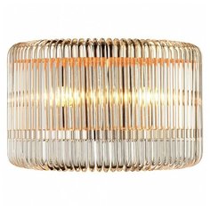 Накладной светильник Favourite Negociant 2094-2W