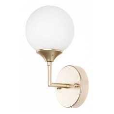 Бра Arte Lamp, 1х60W, золото, размеры (мм)-120x280x160, плафон - белый