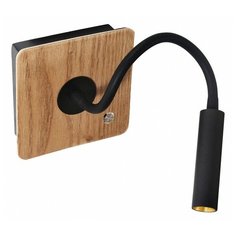 Бра Favourite, 1х2W, разноцветный, размеры (мм)-130x200x180, 3000К, плафон - черный