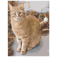 Картина по номерам Живопись по Номерам "Рыжий кот 2", 30x40 см