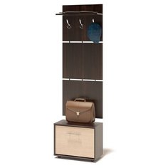 Вешалка с тумбой для обуви ВШ-5.3 цвет