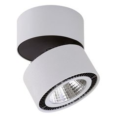 Спот Forte Muro 213839 Lightstar