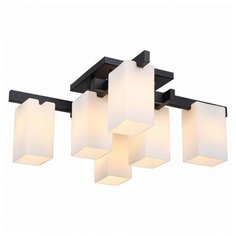 Потолочная люстра ST-Luce Caset SL541.402.06