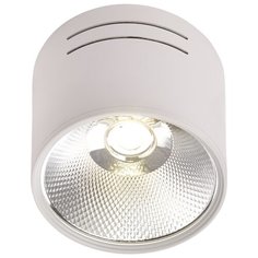 Светильник светодиодный потолочный спот LED 1*15W Белый IL.0005.4115 Imex