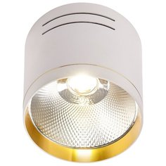 Светильник светодиодный потолочный спот LED 1*15W Белый/Золото IL.0005.7115 Imex