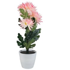 Декоративный светильник LED "Хризантема", розовый Start