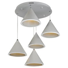 Подвесная светодиодная люстра iLedex Moon WL8858-5 WH