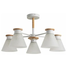 Люстра Arte Lamp TYLER A1031PL-5WH