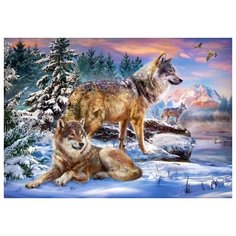 Пазлы 500 деталей "Волчий мир" Castorland