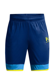 Шорты Under Armour