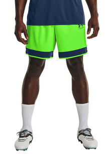 Шорты Under Armour