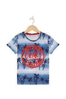 Футболка U.S. Polo Assn.