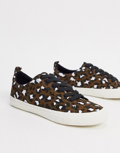 Кроссовки на шнуровке с леопардовым принтом ASOS DESIGN Dunn-Многоцветный
