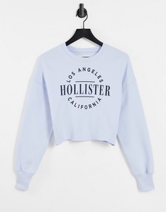 Синий свитер с круглым логотипом Hollister-Голубой