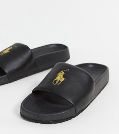 Черные шлепанцы с золотистым логотипом Polo Ralph Lauren-Черный цвет