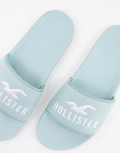 Зеленые шлепанцы с логотипом в виде чайки Hollister-Зеленый цвет