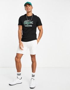 Черная футболка с логотипом в виде крокодила на груди Lacoste-Черный цвет