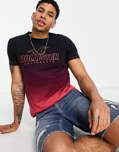 Hollister Lookbuck