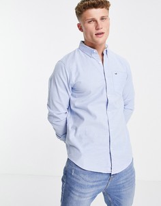 Синяя оксфордская рубашка зауженного кроя с логотипом Hollister-Голубой
