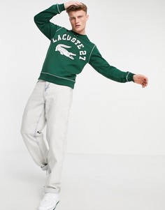Зеленый свитшот с логотипом в университетском стиле Lacoste-Зеленый цвет