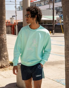Мятный oversized-свитшот с графическим рисунком adidas Originals Summer Club-Зеленый цвет