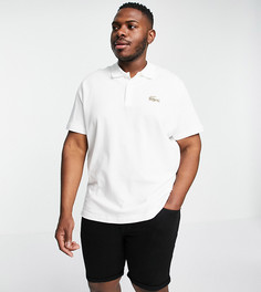 Белая футболка-поло с логотипом с крокодилом Lacoste-Белый