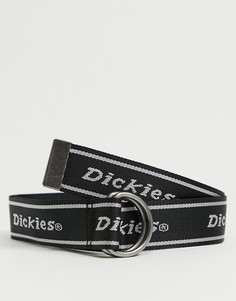 Черный ремень Dickies Amboy-Черный цвет