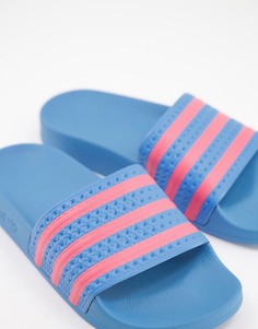 Голубые шлепанцы adidas Originals adilette-Голубой